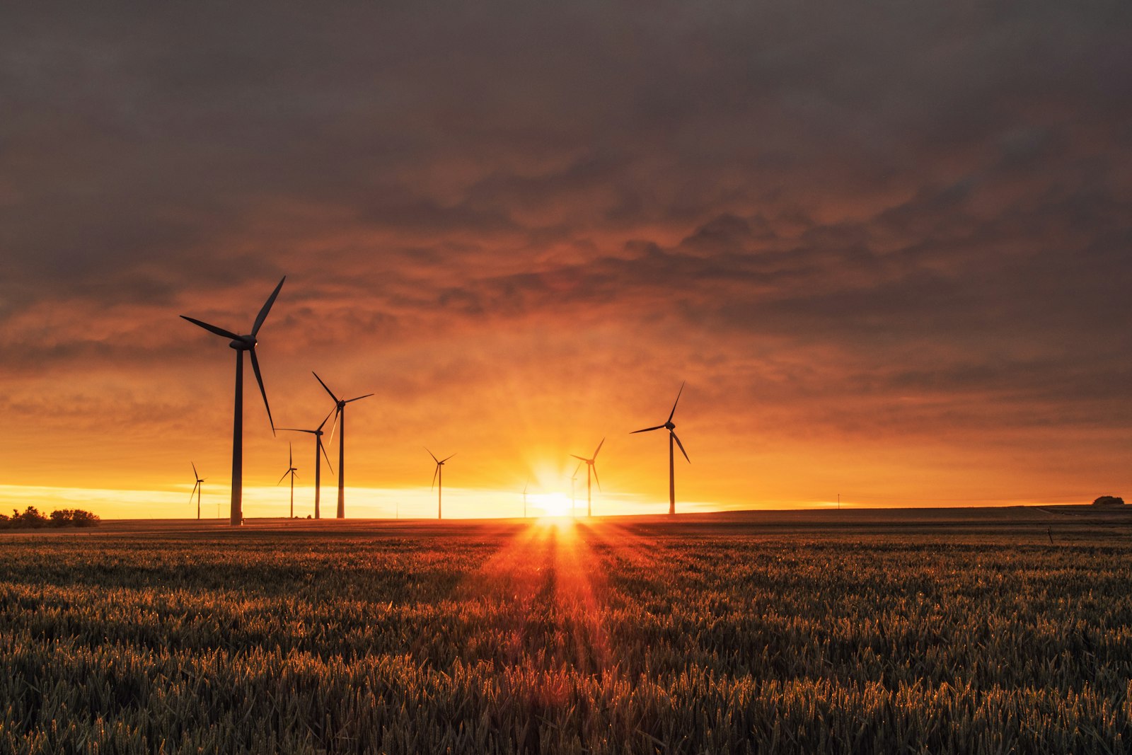 Wind turbines and a clear sky over a Dutch polder landscape