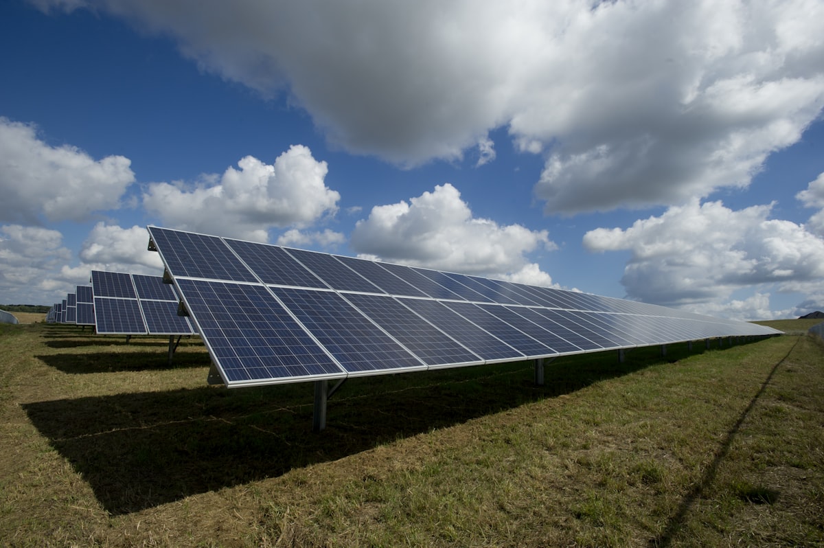 A large rooftop with rows of solar panels under a clear Dutch sky